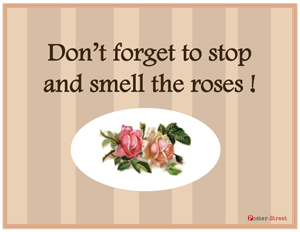 Office Posters-Office Posters - Motivational Posters - Smell the Roses