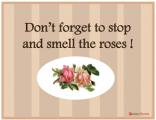 Office Posters - Motivational Posters - Smell the Roses