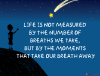 Life is Not Measured