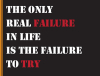 Teen Posters - Motivational Poster - The only real failure in life is the failure to try