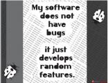 Office Posters - Witty Posters - Software Bugs